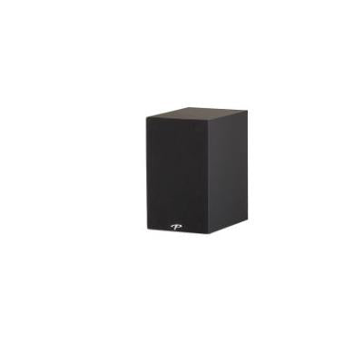 Paradigm Premier 100B