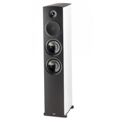 Paradigm Premier 800F