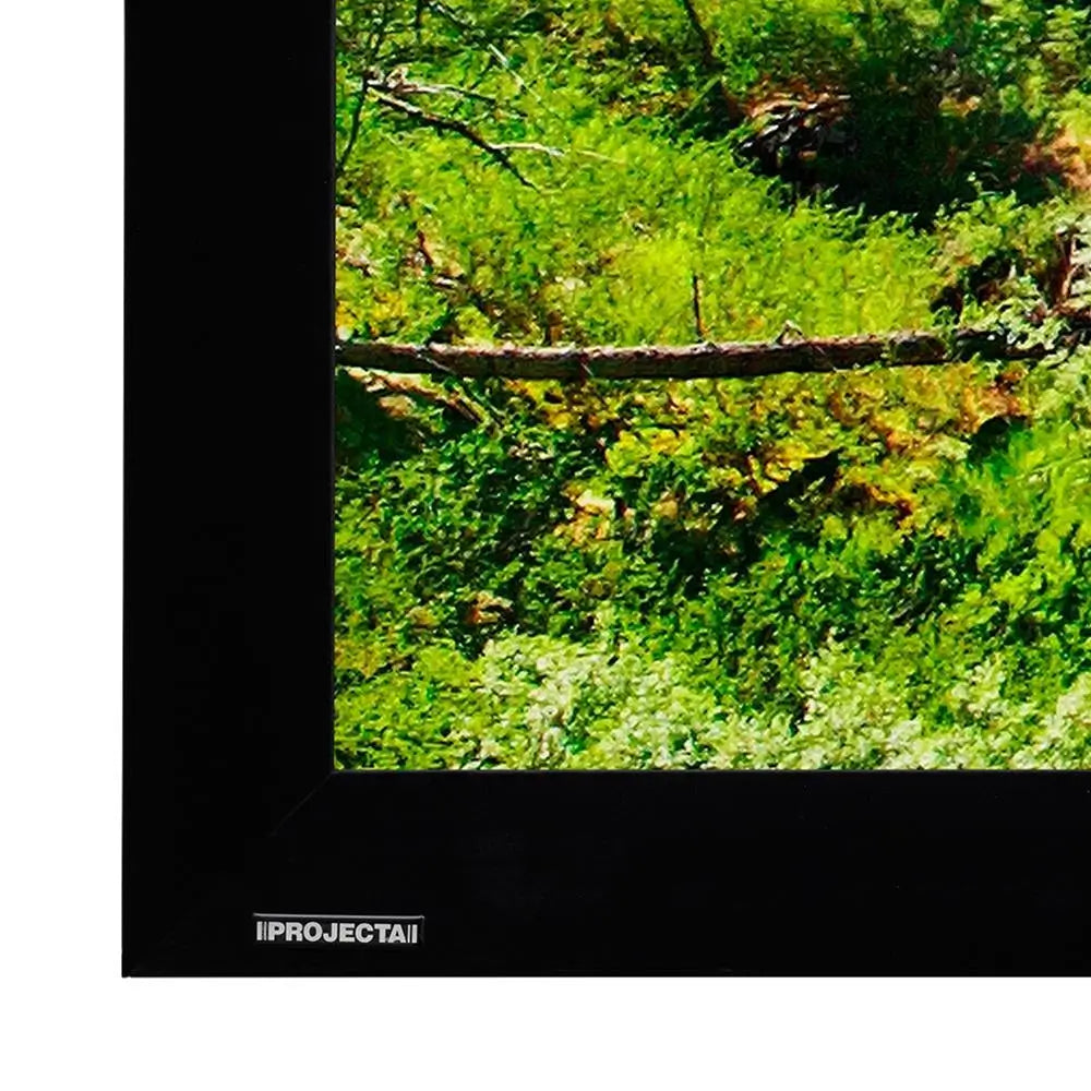 Projecta Da-Lite Tensioned Fixed Frame Screen