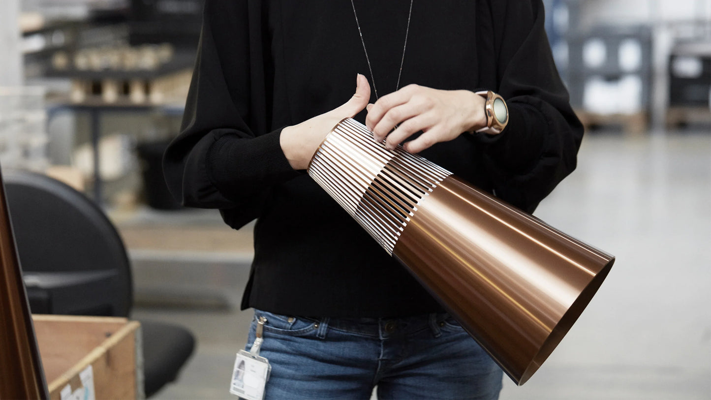 Bang & Olufsen Beolab 19 Precise Subwoofer Speaker 14