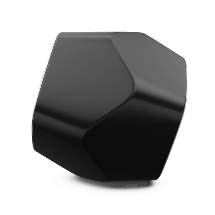 Bang & Olufsen Beolab 19 Precise Subwoofer Speaker 20