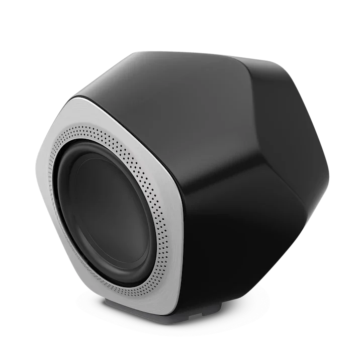Bang & Olufsen Beolab 19 Precise Subwoofer Speaker 21