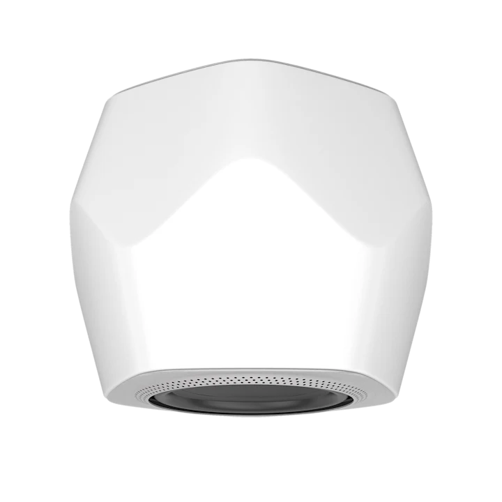 Bang & Olufsen Beolab 19 Precise Subwoofer Speaker 26