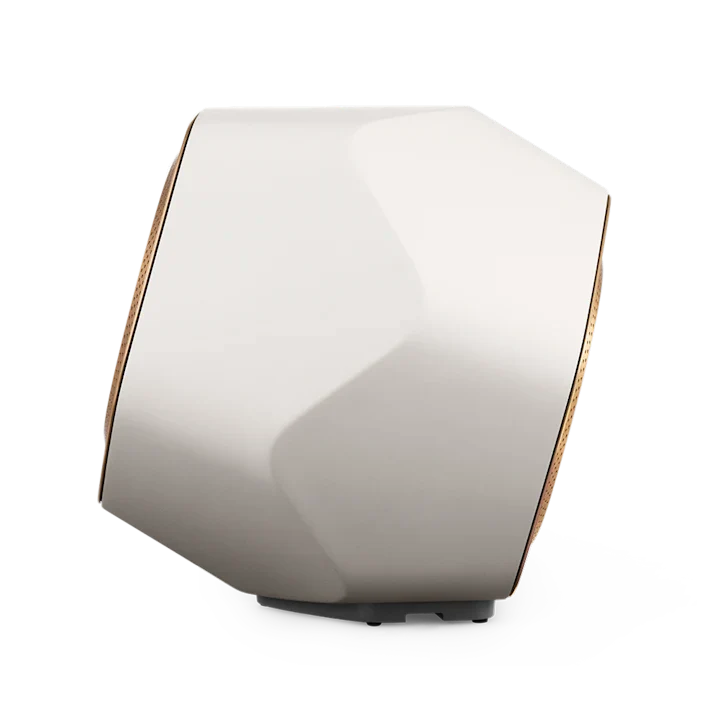Bang & Olufsen Beolab 19 Precise Subwoofer Speaker 37