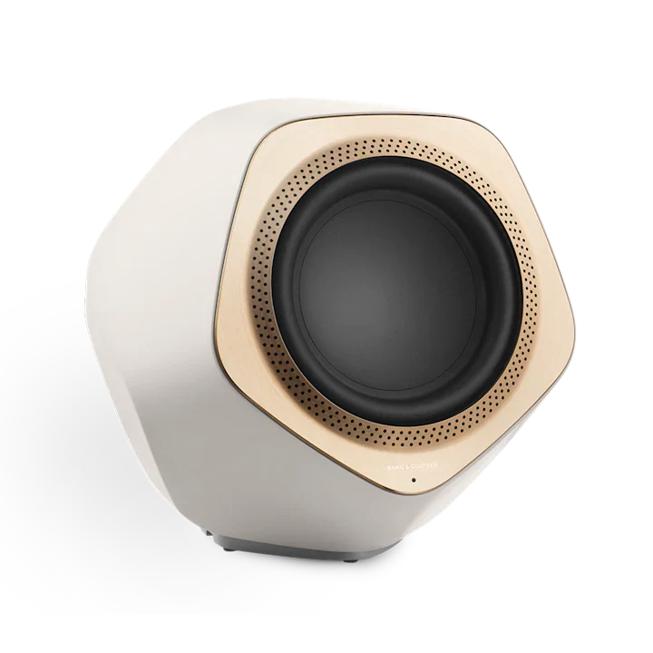Bang & Olufsen Beolab 19 Precise Subwoofer Speaker 4