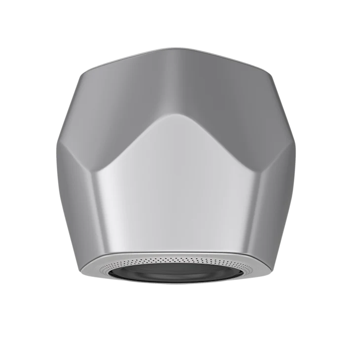 Bang & Olufsen Beolab 19 Precise Subwoofer Speaker