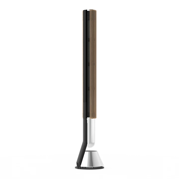 Bang & Olufsen Beolab 28 Hi-fidelity Wireless Home Speakers 42