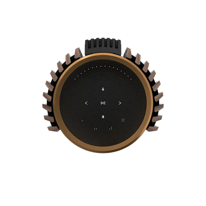 Bang & Olufsen Beolab 28 Hi-fidelity Wireless Home Speakers 59