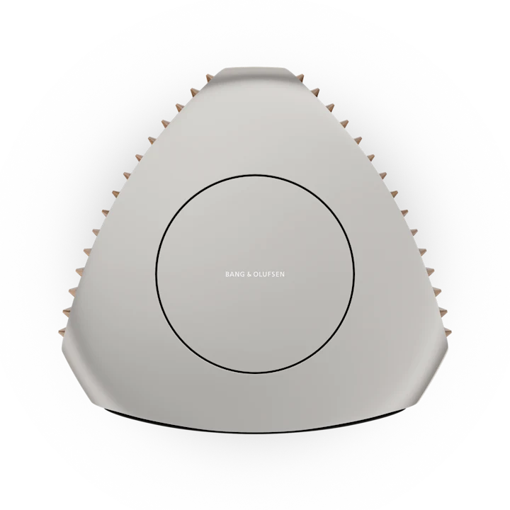 Bang & Olufsen Beolab 50 Advanced Active Loudspeakers 20