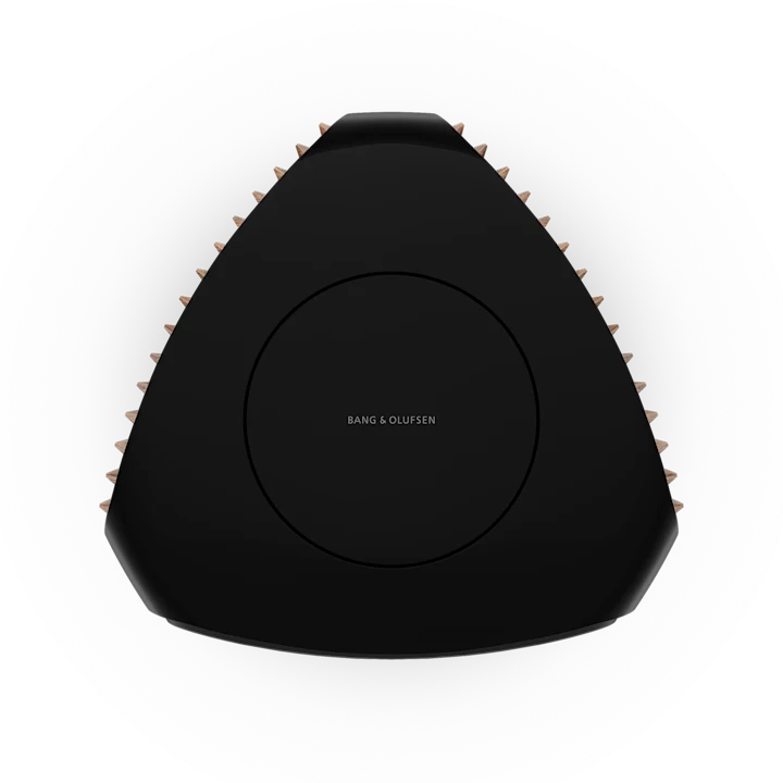 Bang & Olufsen Beolab 50 Advanced Active Loudspeakers 34