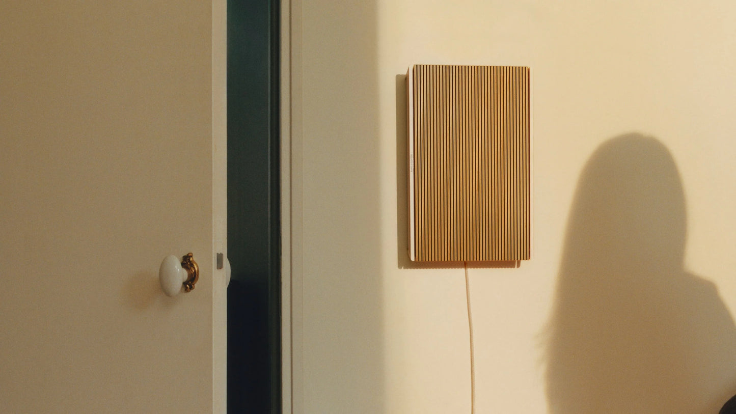Bang & Olufsen Beosound Level Portable Wifi Speaker 15