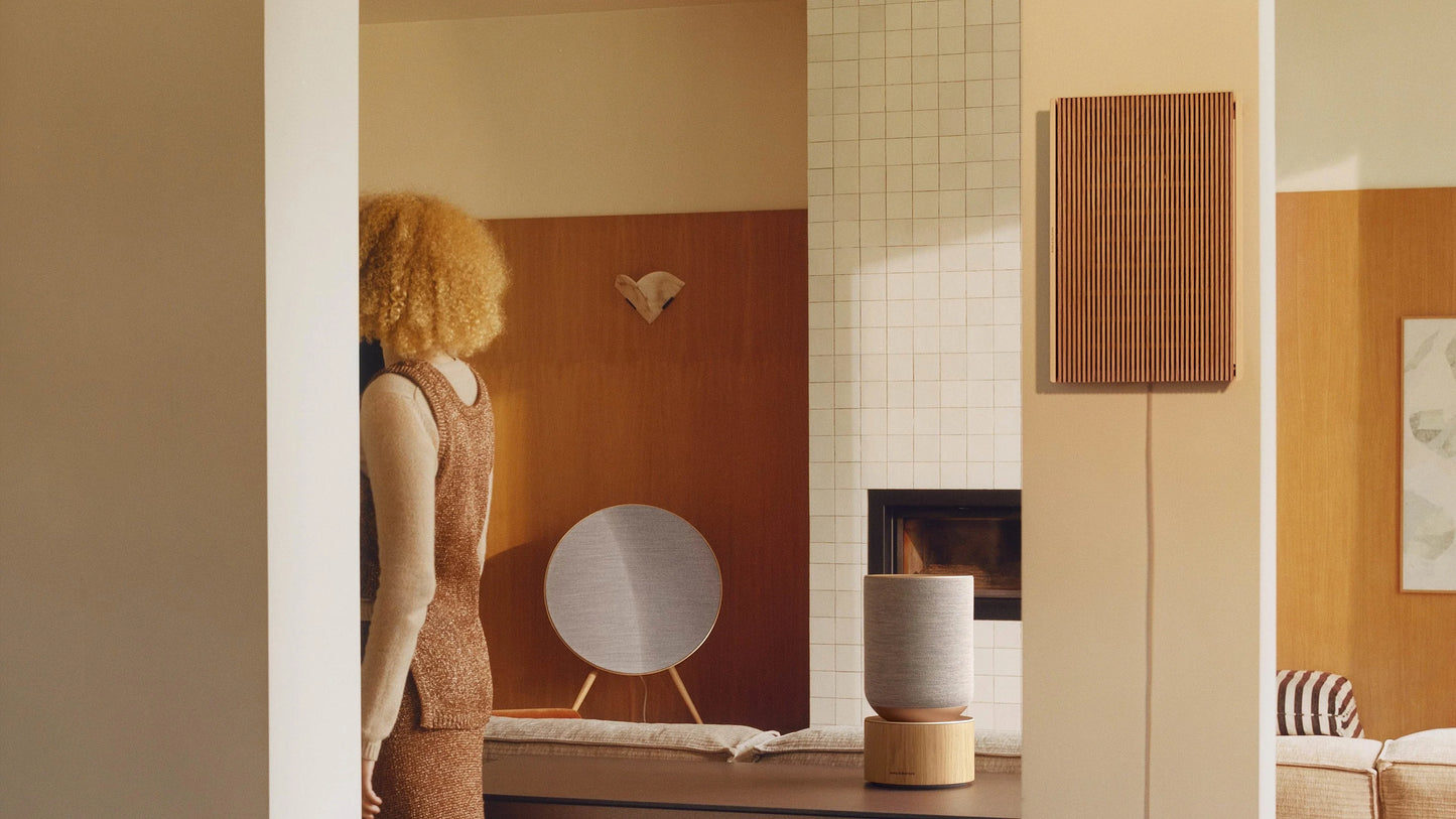 Bang & Olufsen Beosound Level Portable Wifi Speaker 16