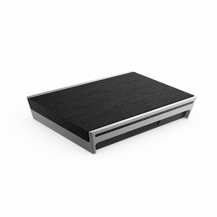 Bang & Olufsen Beosound Level Portable Wifi Speaker 19