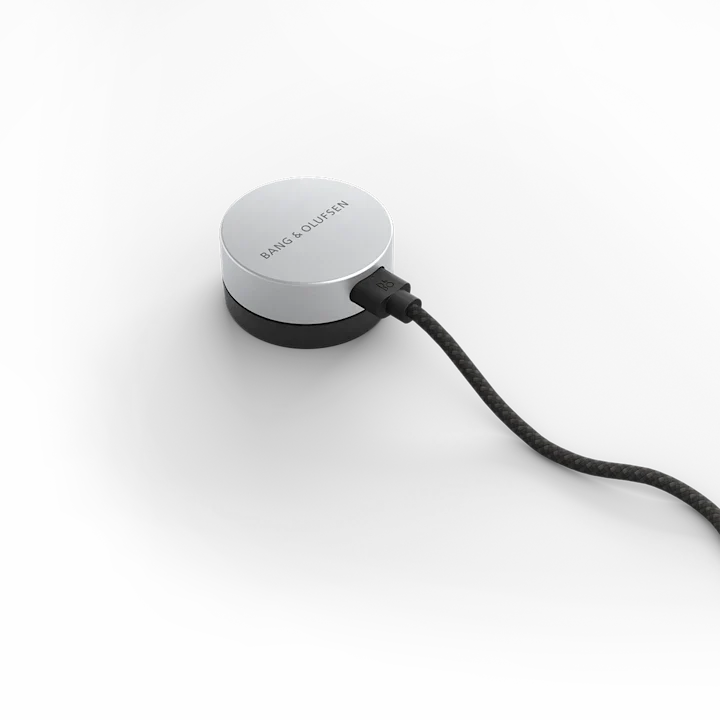 Bang & Olufsen Beosound Level Portable Wifi Speaker 26