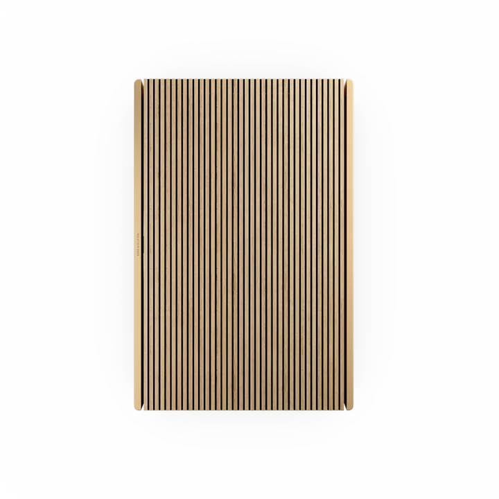 Bang & Olufsen Beosound Level Portable Wifi Speaker 4