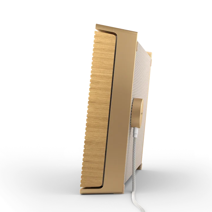 Bang & Olufsen Beosound Level Portable Wifi Speaker 6