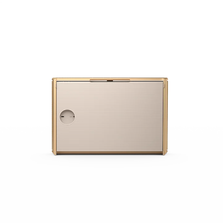 Bang & Olufsen Beosound Level Portable Wifi Speaker 9