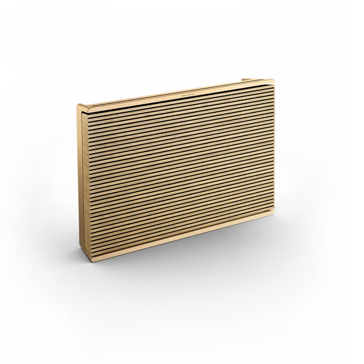 Bang & Olufsen Beosound Level Portable Wifi Speaker