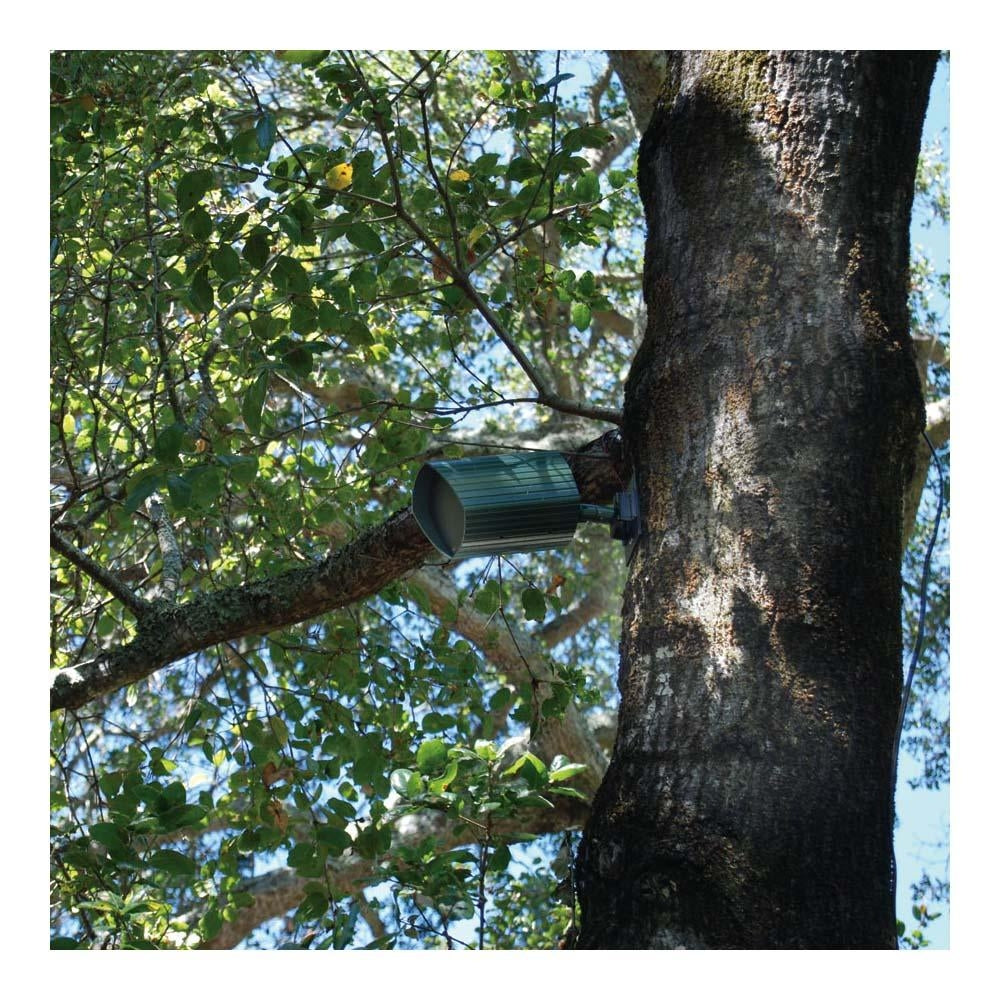 James Tree and Wall Mount For All Terrain AT32 , AT42, AT62 Series Speakers, Black 1