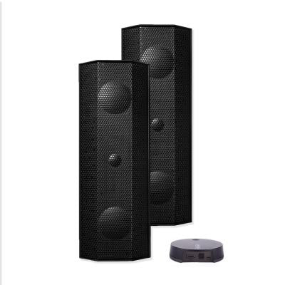 Lithe Audio iO1 Wireless 2.0 Outdoor Cinema Kit