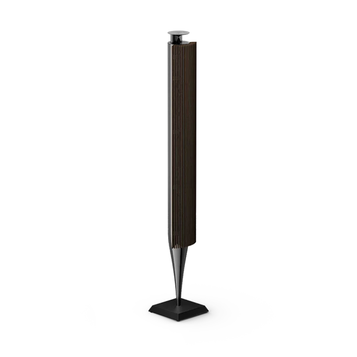 Bang & Olufsen Beolab 18 Wireless Speaker Set 31