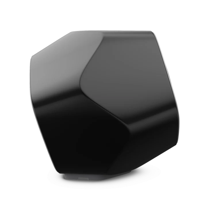 Bang & Olufsen Beolab 19 Precise Subwoofer Speaker 22