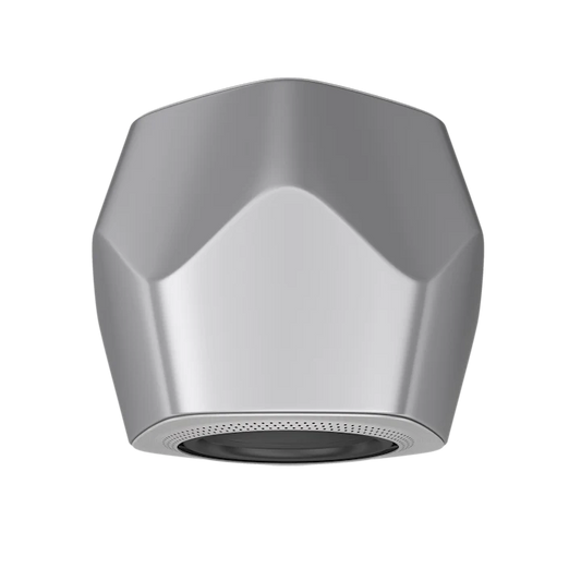 Bang & Olufsen Beolab 19 Precise Subwoofer Speaker 