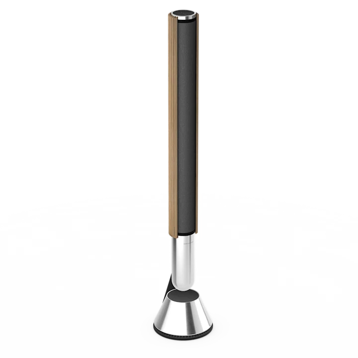 Bang & Olufsen Beolab 28 Hi-fidelity Wireless Home Speakers 25