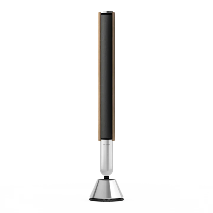 Bang & Olufsen Beolab 28 Hi-fidelity Wireless Home Speakers 26