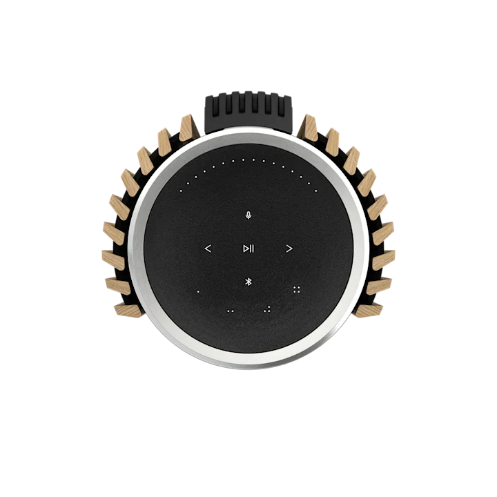 Bang & Olufsen Beolab 28 Hi-fidelity Wireless Home Speakers 27