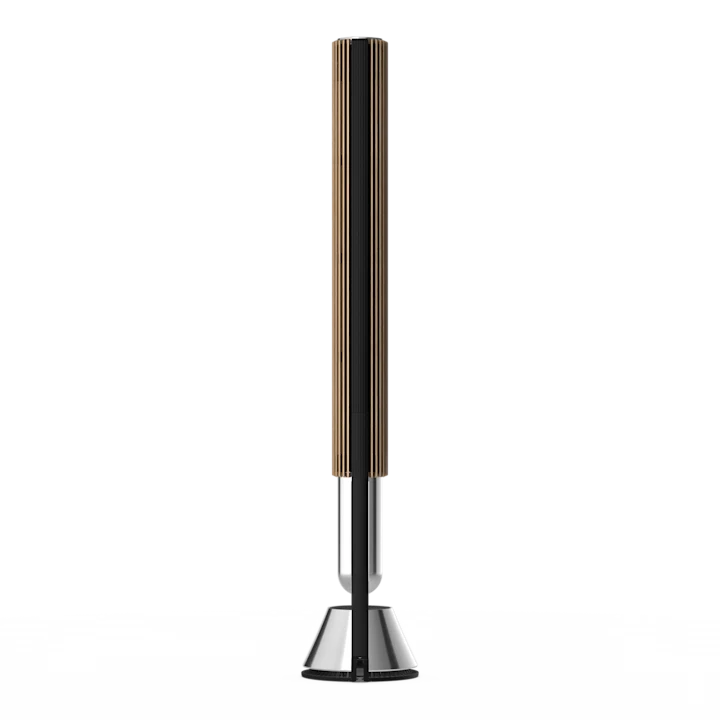 Bang & Olufsen Beolab 28 Hi-fidelity Wireless Home Speakers 30