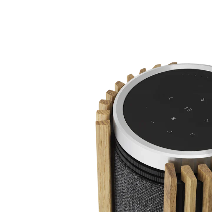 Bang & Olufsen Beolab 28 Hi-fidelity Wireless Home Speakers 31