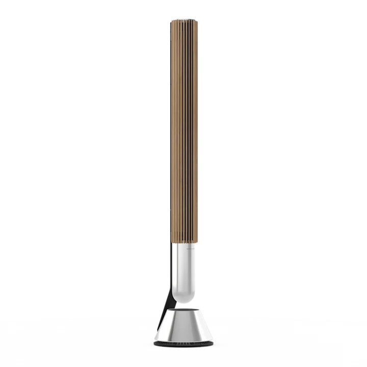 Bang & Olufsen Beolab 28 Hi-fidelity Wireless Home Speakers 33