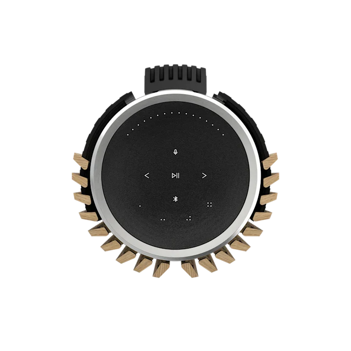Bang & Olufsen Beolab 28 Hi-fidelity Wireless Home Speakers 36