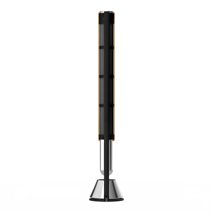 Bang & Olufsen Beolab 28 Hi-fidelity Wireless Home Speakers 37