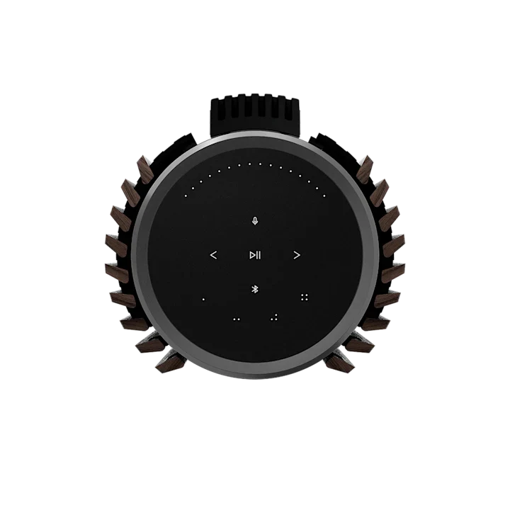Bang & Olufsen Beolab 28 Hi-fidelity Wireless Home Speakers 47
