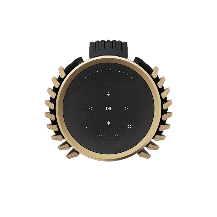 Bang & Olufsen Beolab 28 Hi-fidelity Wireless Home Speakers 51