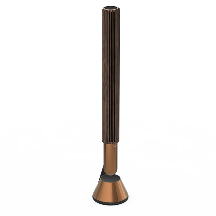 Bang & Olufsen Beolab 28 Hi-fidelity Wireless Home Speakers 63