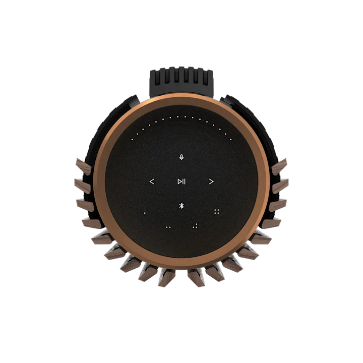 Bang & Olufsen Beolab 28 Hi-fidelity Wireless Home Speakers 66