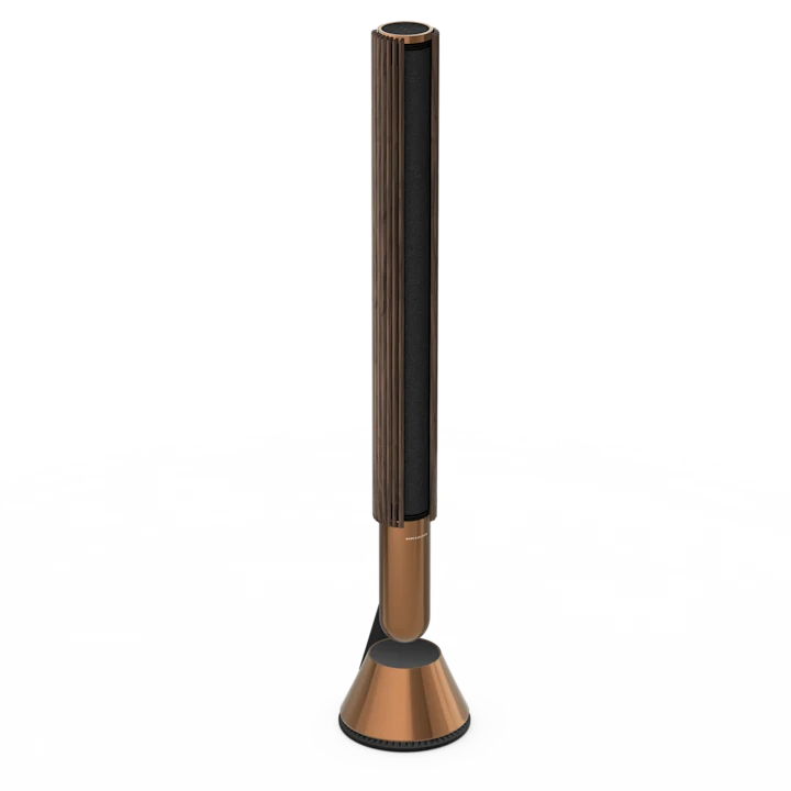 Bang & Olufsen Beolab 28 Hi-fidelity Wireless Home Speakers 67