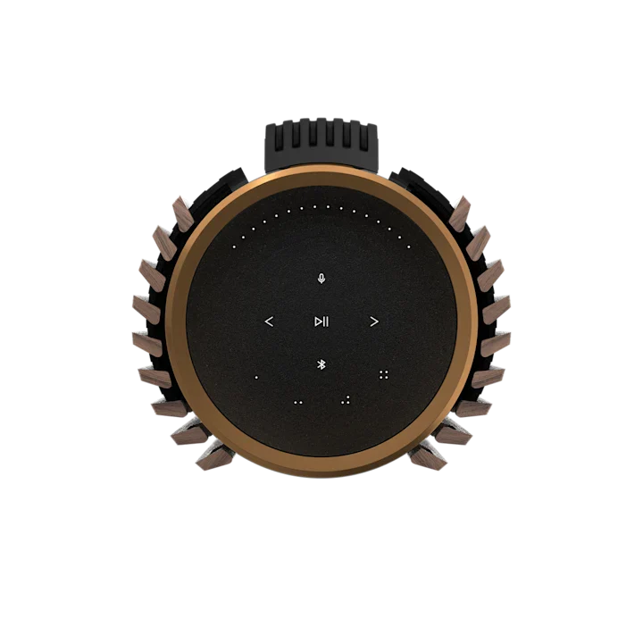 Bang & Olufsen Beolab 28 Hi-fidelity Wireless Home Speakers 70