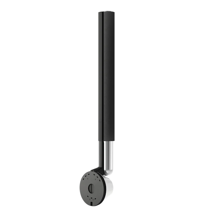 Bang & Olufsen Beolab 28 Hi-fidelity Wireless Home Speakers 8