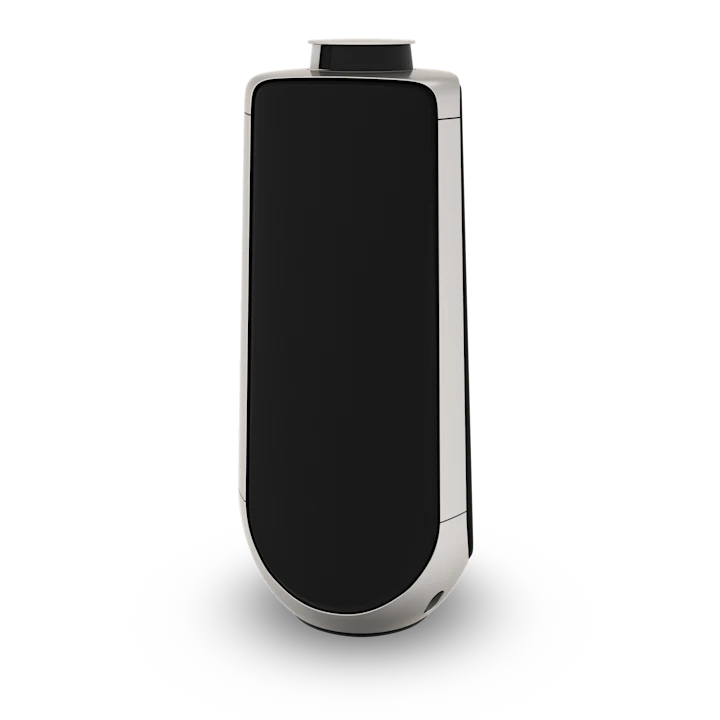 Bang & Olufsen Beolab 50 Advanced Active Loudspeakers 12