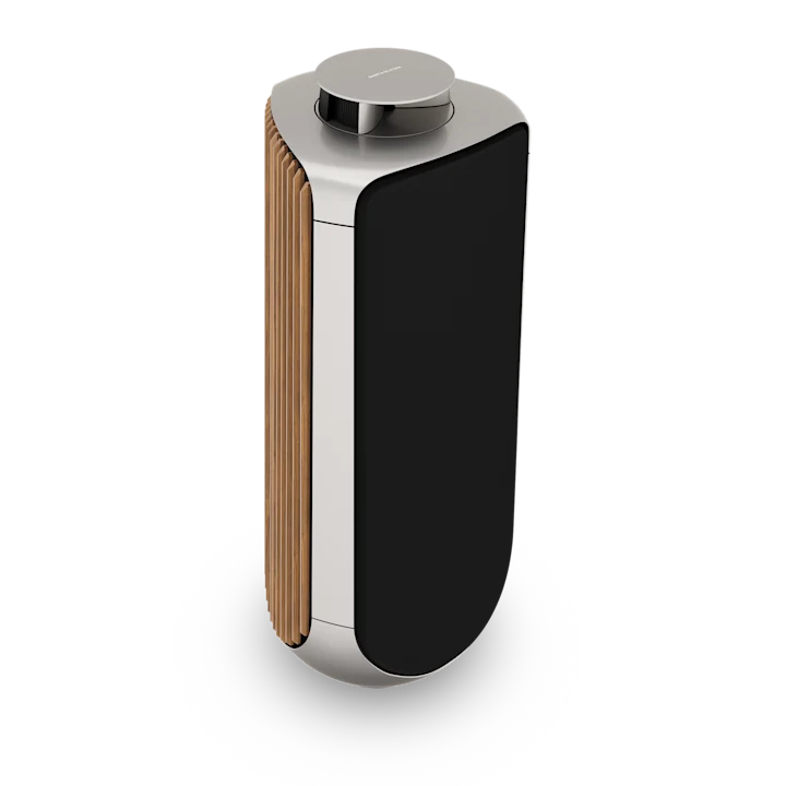Bang & Olufsen Beolab 50 Advanced Active Loudspeakers 15