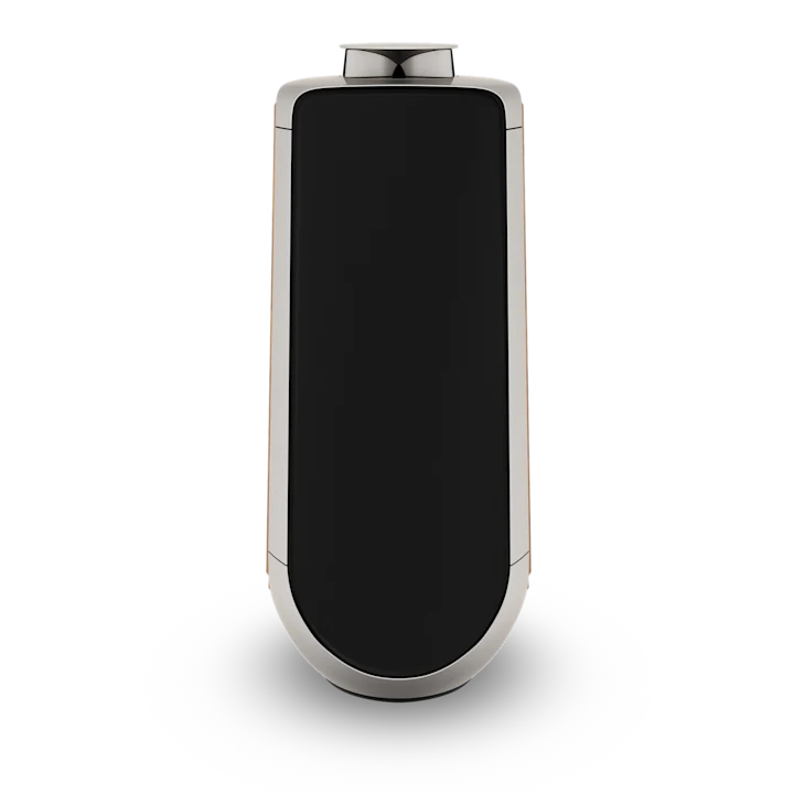 Bang & Olufsen Beolab 50 Advanced Active Loudspeakers 16