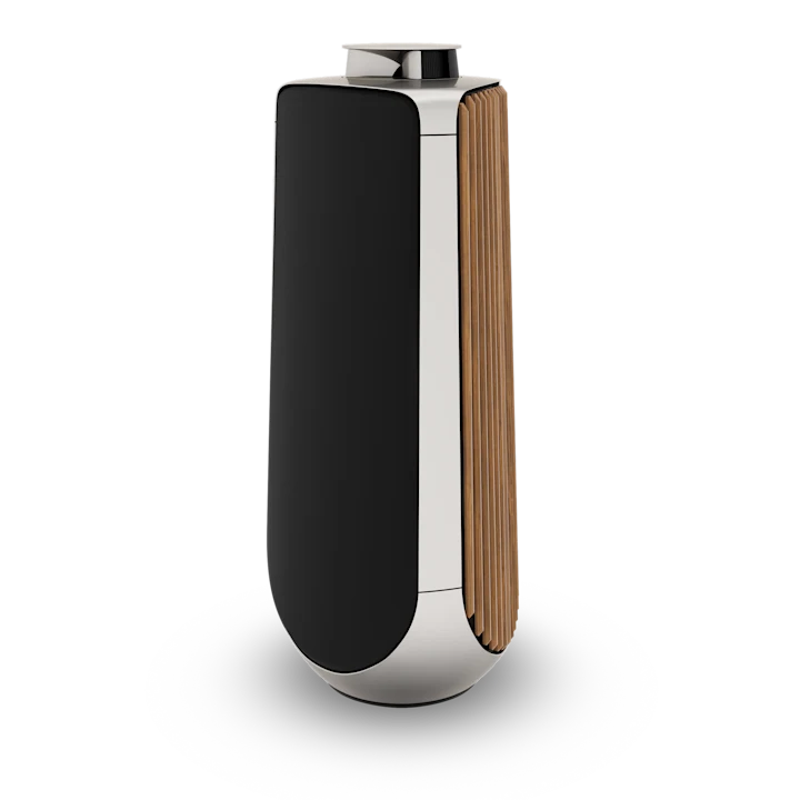 Bang & Olufsen Beolab 50 Advanced Active Loudspeakers 17