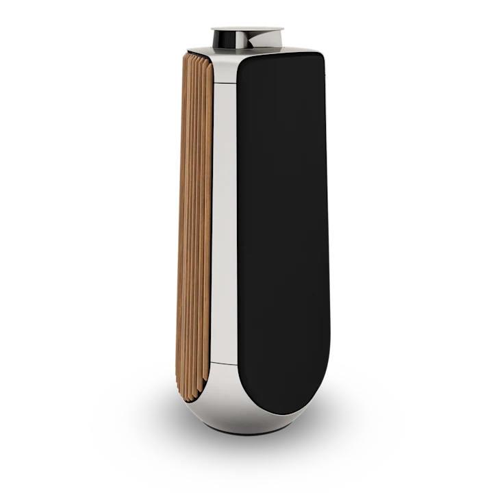 Bang & Olufsen Beolab 50 Advanced Active Loudspeakers 18