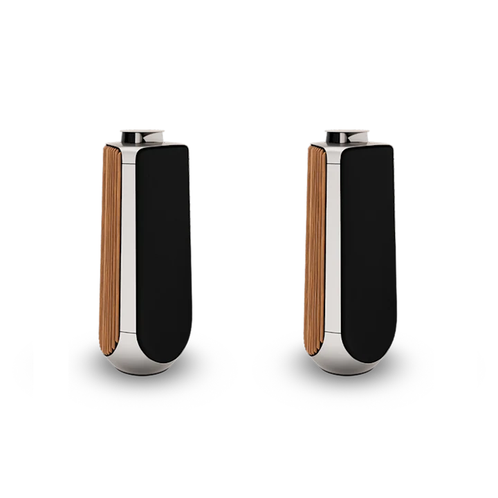 Bang & Olufsen Beolab 50 Advanced Active Loudspeakers 1