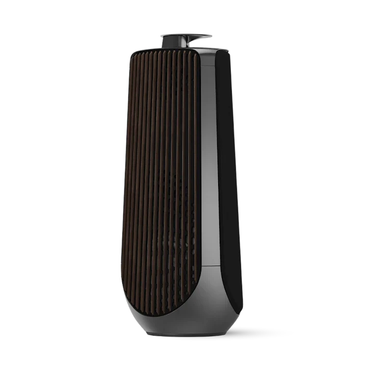 Bang & Olufsen Beolab 50 Advanced Active Loudspeakers 29