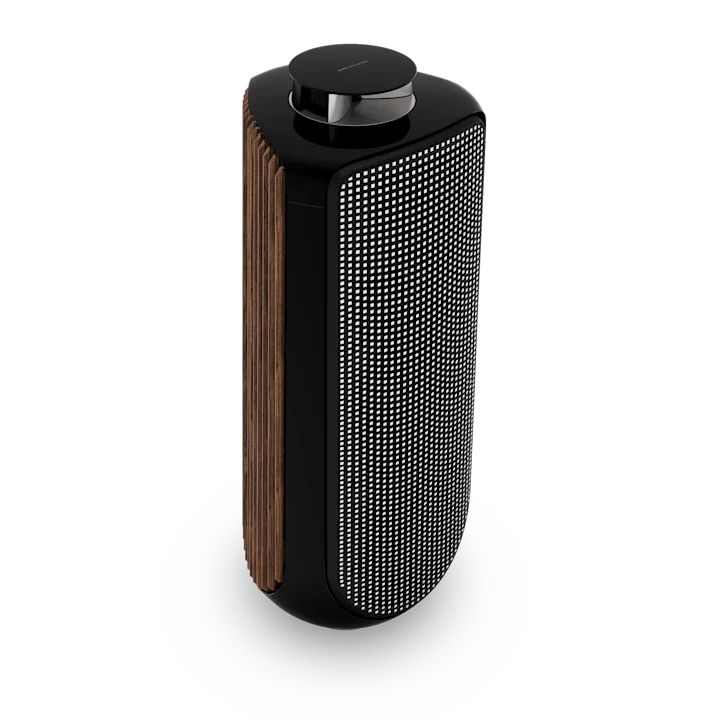 Bang & Olufsen Beolab 50 Advanced Active Loudspeakers 32